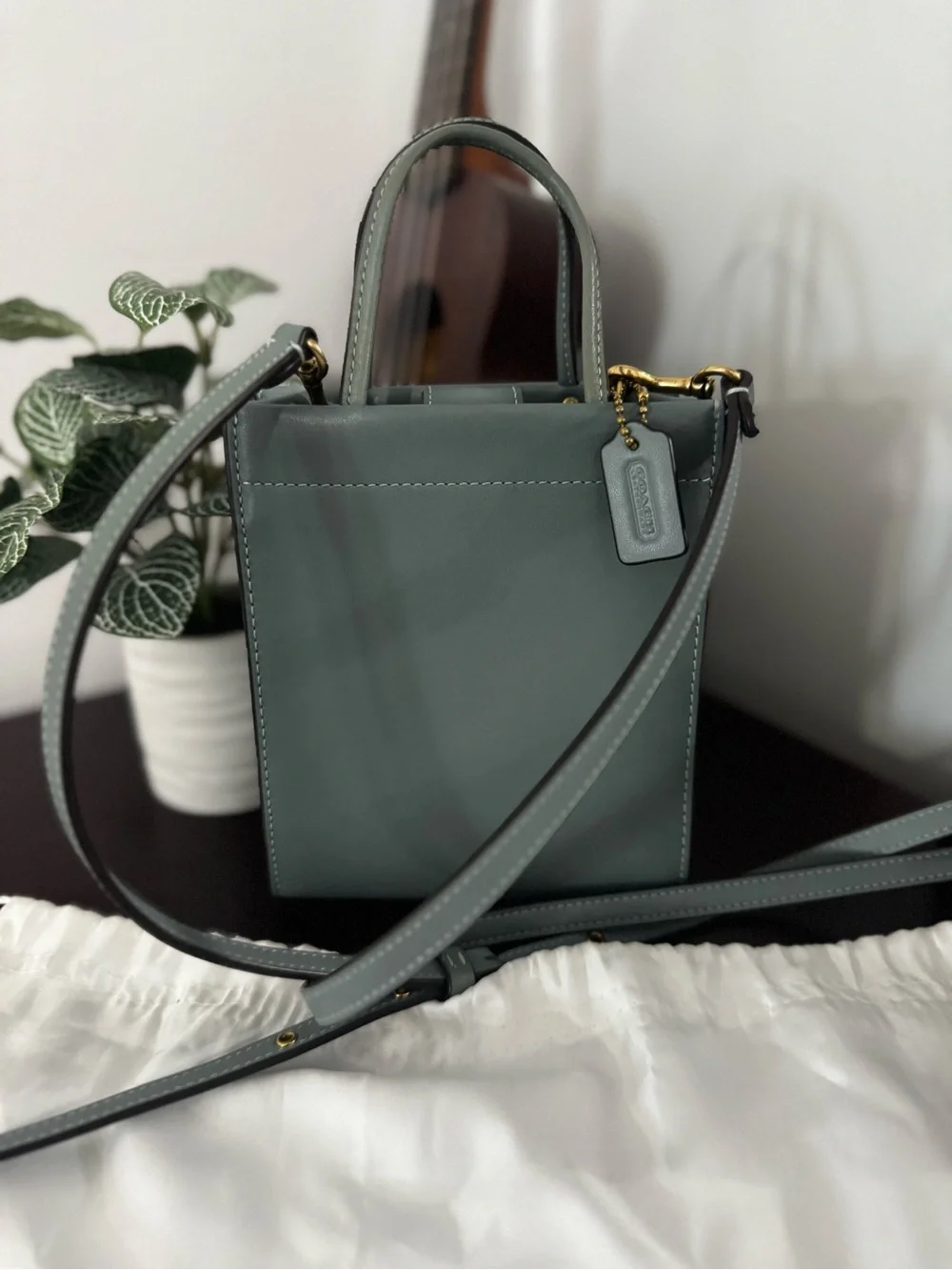 Coach Mini Cashin Carry Tote